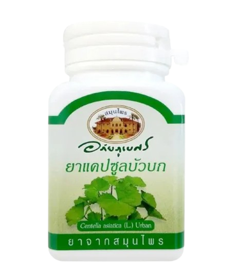 ใบบัวบกแคปซูล 1