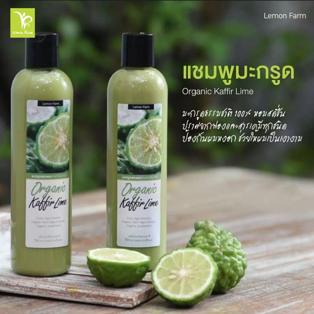 แชมพูมะกรูด Organic 2