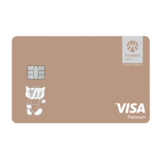 บัตรเครดิต Platinum Credit Card