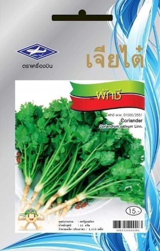 เมล็ดพันธุ์ผัก ผักชี 1