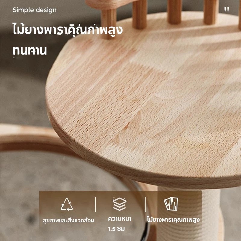 คอนโดแมวหลังใหญ่ 3