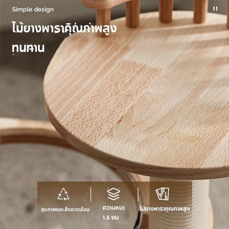 คอนโดแมวหลังใหญ่ 3