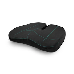 เบาะรองนั่งเพื่อสุขภาพ รุ่น Gentle Softpulse
