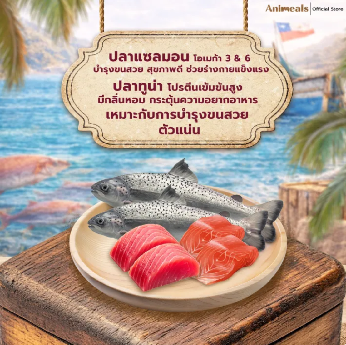 อาหารแมว Sensory สูตรขนสวย 3