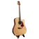 Takamine กีตาร์โปร่งไฟฟ้า 1
