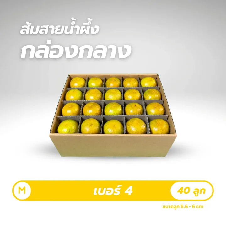 ส้มสายน้ำผึ้ง ของขวัญ คัดพิเศษ 2