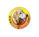 Dog2home สถานที่เรียนตัดขนสุนัข ด็อกทูโฮม 1