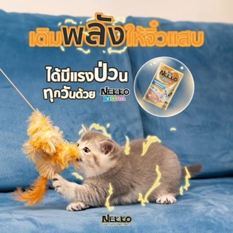 Pouch อาหารเปียกแมว 3