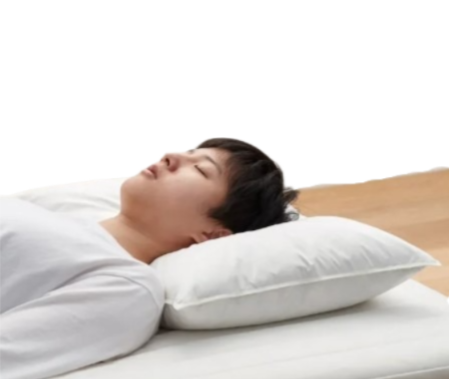 หมอนขนเป็ด Feather Pillow 4