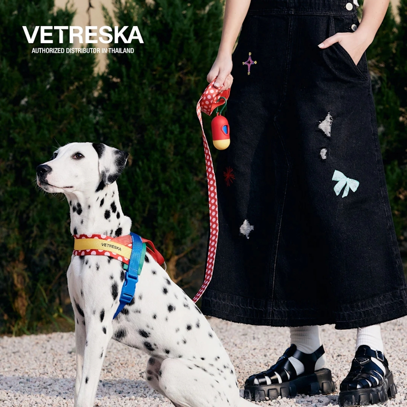 สายรัดอกสุนัข Chroma Pet Harness & Leash Set ขนาด S 2