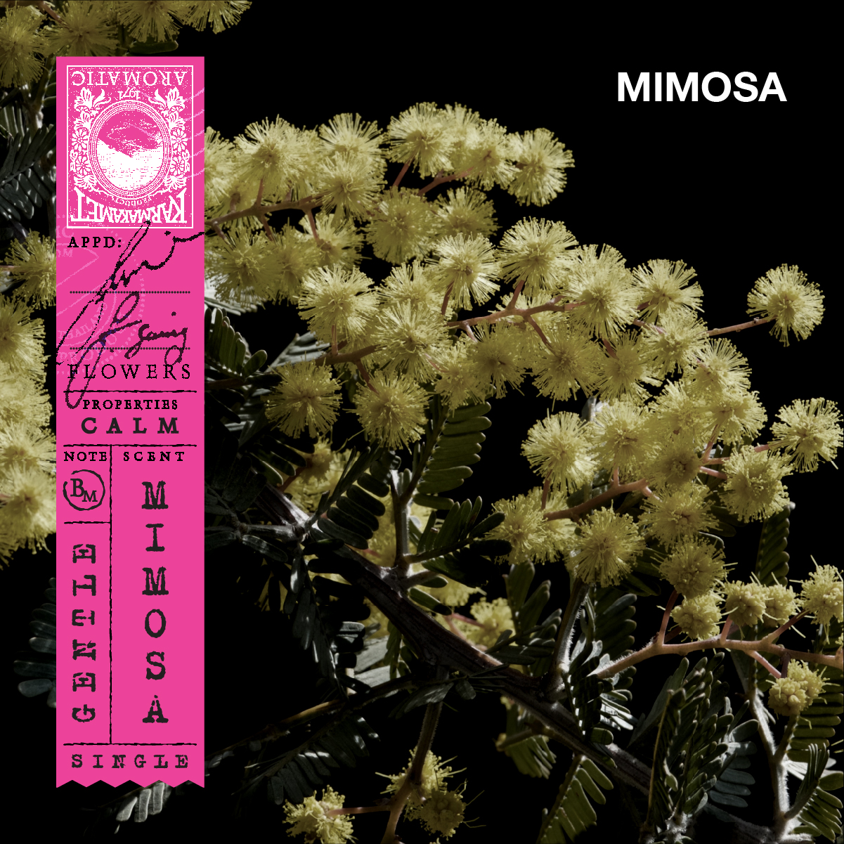 ถุงหอม กลิ่น Mimosa 2