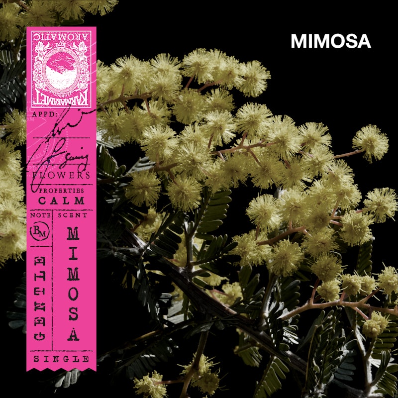 ถุงหอม กลิ่น Mimosa 2