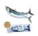 KAFBO Dancing Fish For Dog Mackerel 1