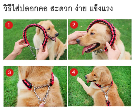 ปลอกคอสุนัขโซ่กระตุก พร้อมเชือกจูง 2