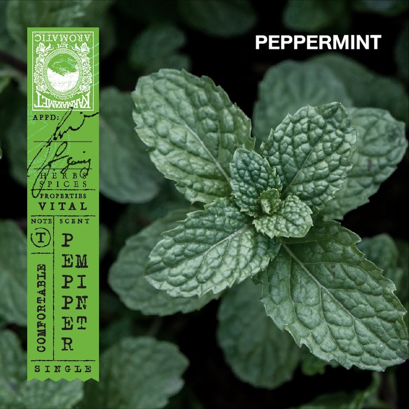 ถุงหอม กลิ่น Peppermint 3