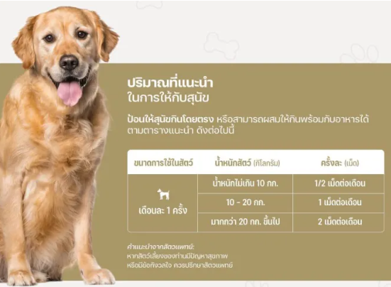 อาหารเสริมป้องกันเห็บหมัด Armetab Zinc+ 2
