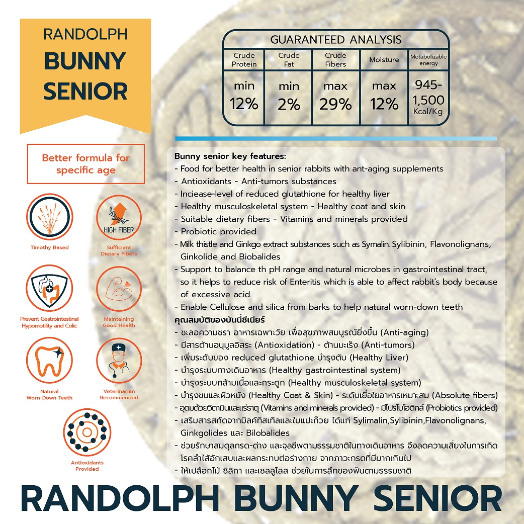 BUNNY SENIOR 4