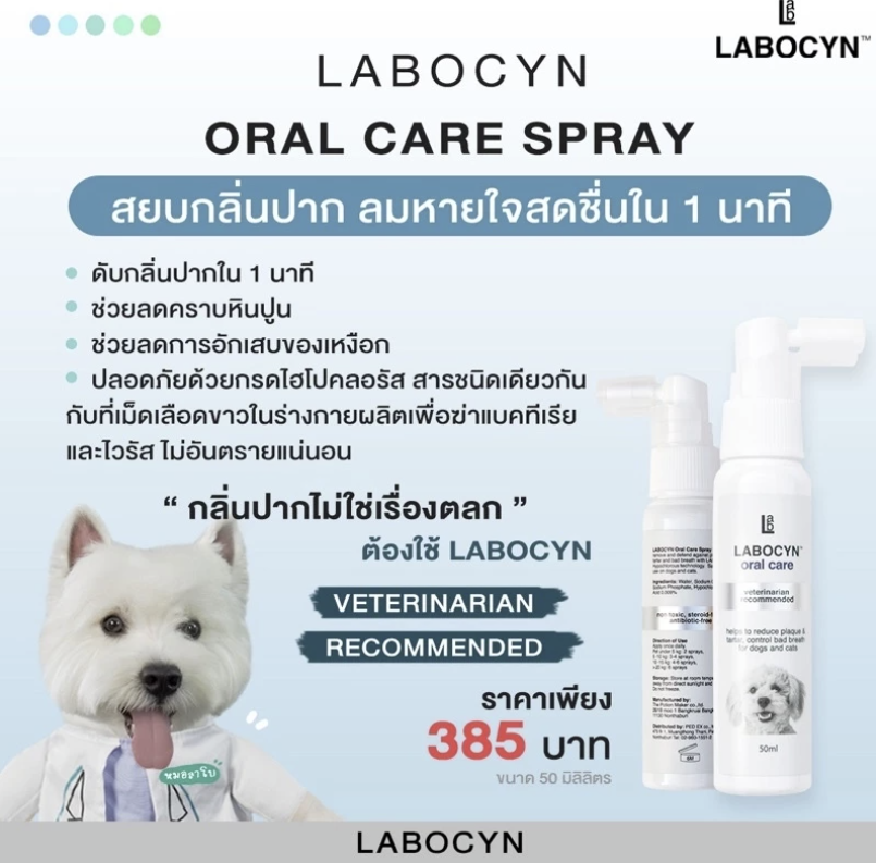 Oral Care Spray สำหรับสุนัขและแมว 3