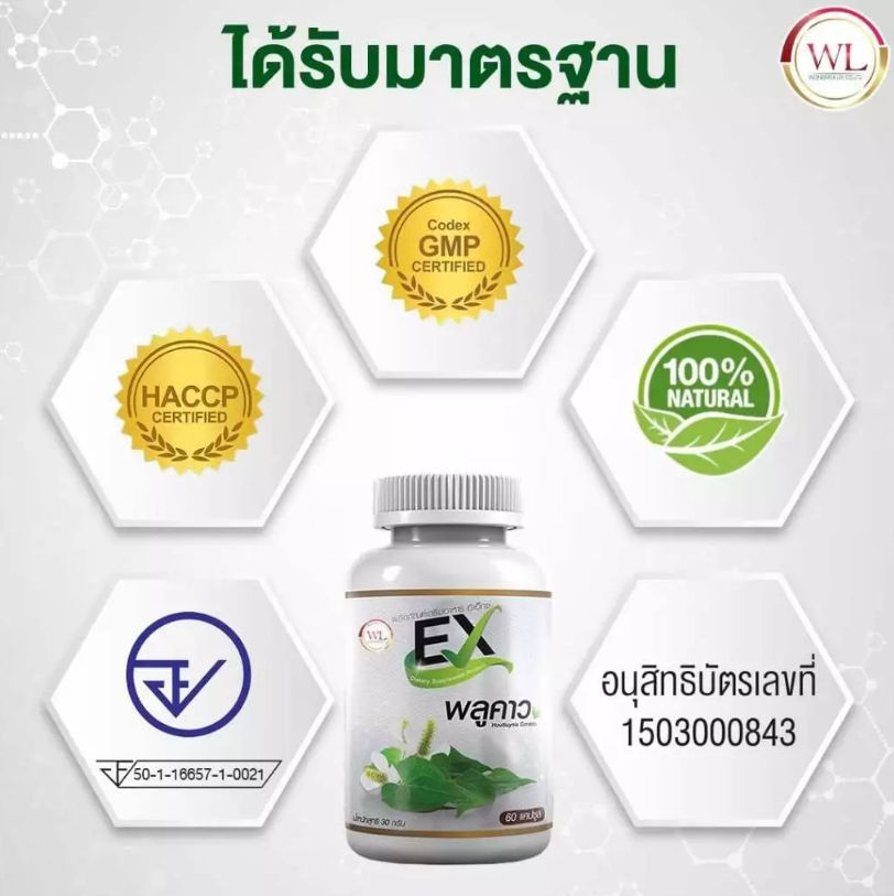 พลูคาว 2