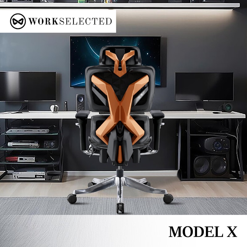 Model X Pro 2