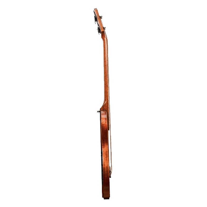 NBSG Bass Acoustic 2