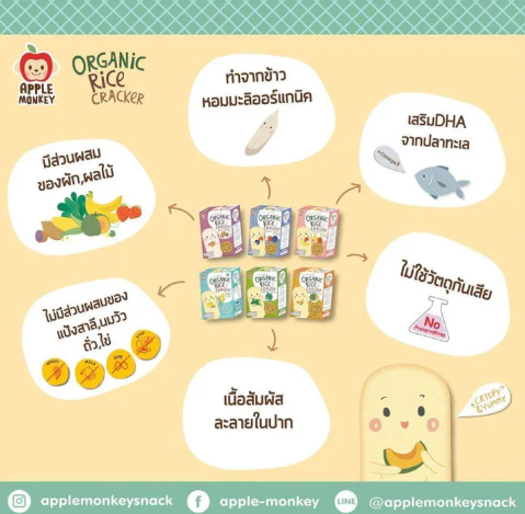 Organic Rice Cracker Corn 3