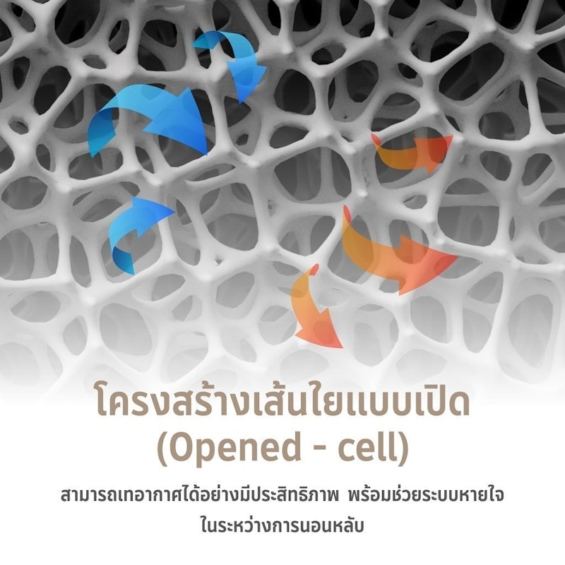 ไส้ผ้านวม รุ่น MicroDownia Winter 2