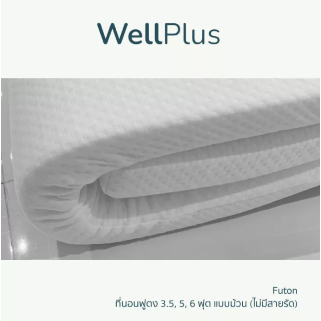 ที่นอนฟูตง Futon-Bed Hollow Conjugate 6 ฟุต 3