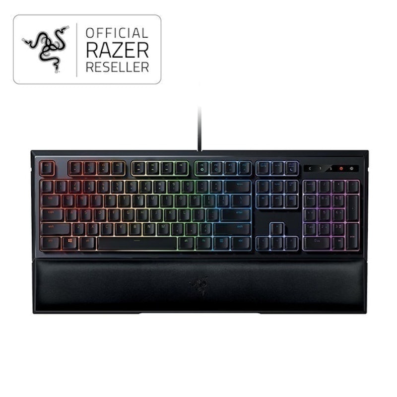 Ornata Chroma TH 1