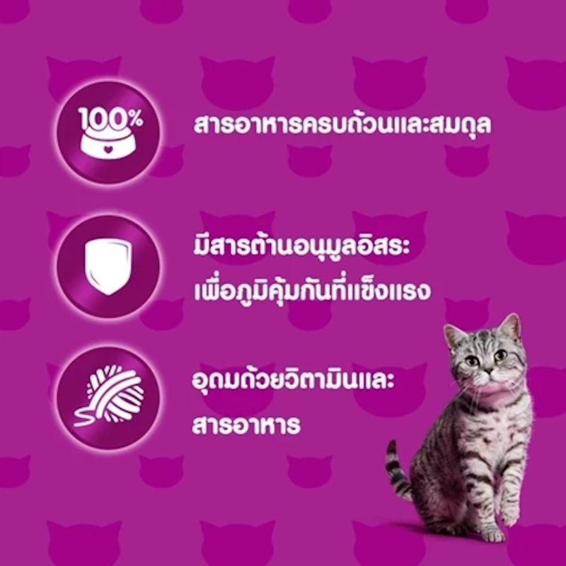 อาหารเปียกแมว 3