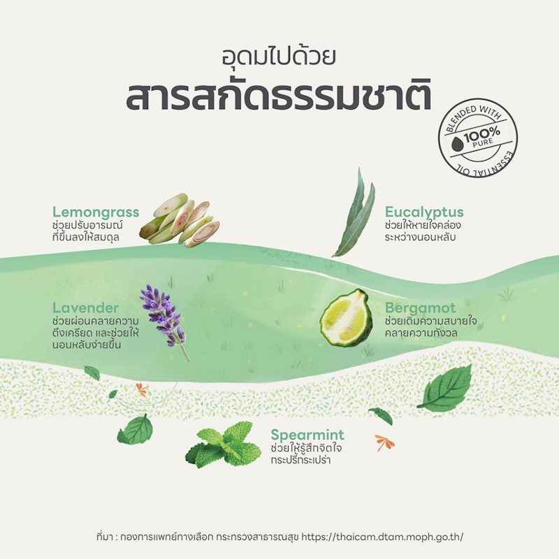 น้ำมันหอมระเหย NO.6 Stress Away Essential Oil Blend 3