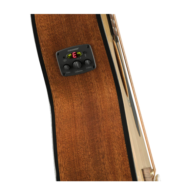 Acoustic Bass  2