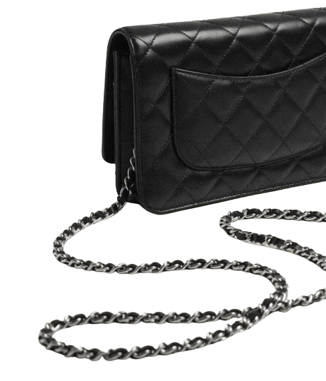 Chanel Wallet on Chain  3