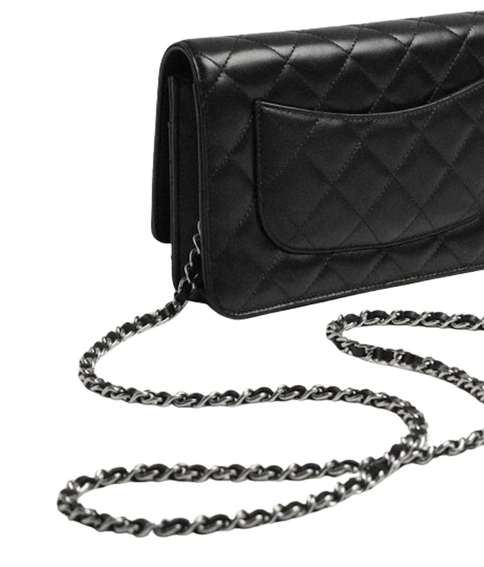 Chanel Wallet on Chain 3