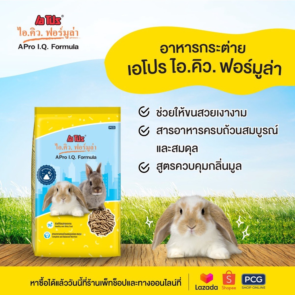 I.Q. Formula Rabbit Feed 2