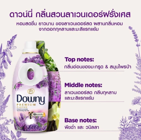 กลิ่นสวนลาเวนเดอร์ฝรั่งเศส 2