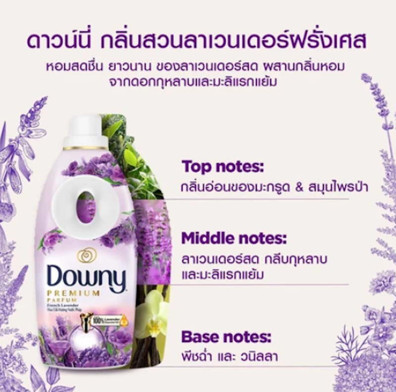 กลิ่นสวนลาเวนเดอร์ฝรั่งเศส 2