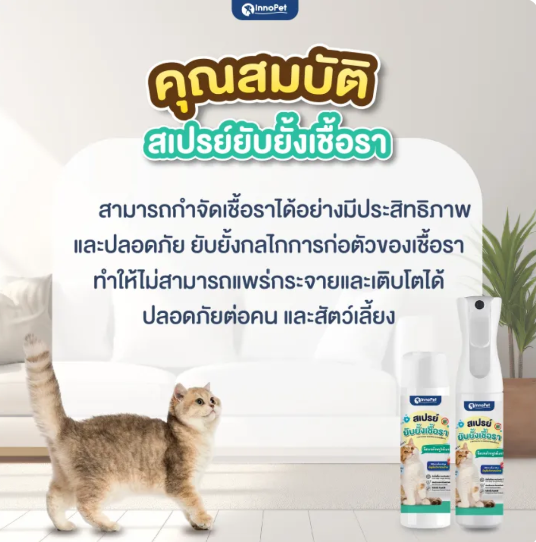 สเปรย์ยับยั้งเชื้อรา  3
