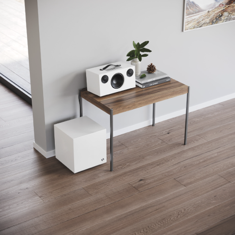 Powered Subwoofer Speaker 3