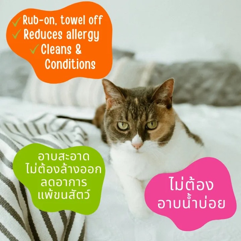 Hypoallergenic Cat Grooming Foam โฟมอาบน้ำแห้งแมว 3