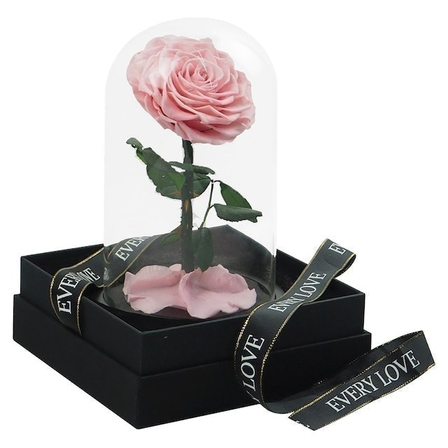 กุหลาบในโหลแก้ว 1