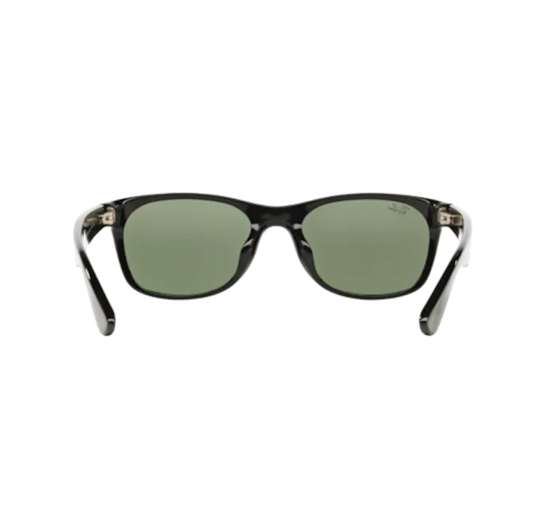 New Wayfarer 3