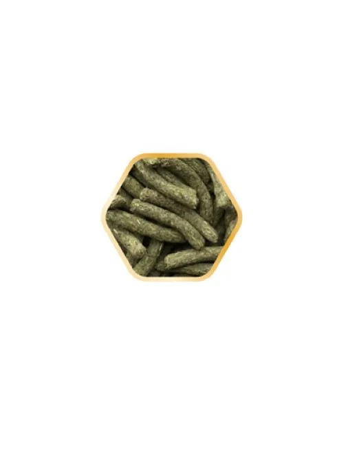 Gold Zelect Junior 3