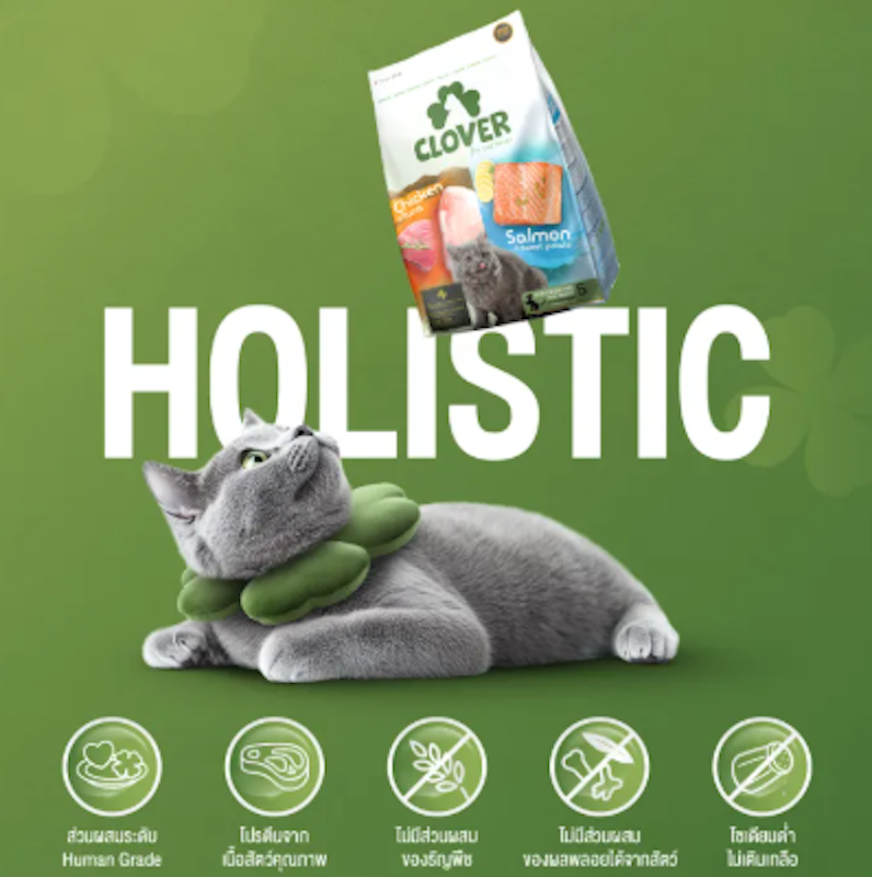 Ultra Holistic Tuna Chicken & Salmon 2