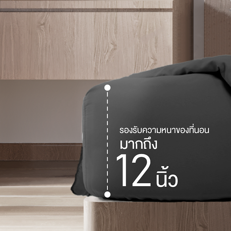 ผ้าปูที่นอน รุ่น 2tones Set C 3