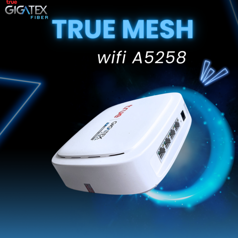 Gigatex Mesh Wi-Fi รุ่น A5258 2