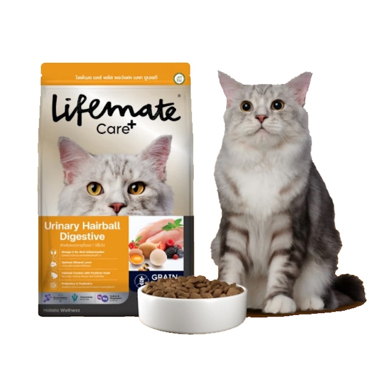 Urinary Hairball Digestive อาหารแมวโต สูตรป้องกันปัญหาทางเดินปัสสาวะ 2