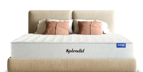 Splendid  1