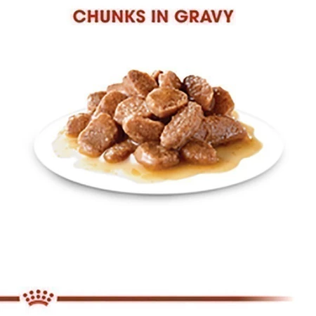 Royal Canin Instinctive Pouch Gravy 2