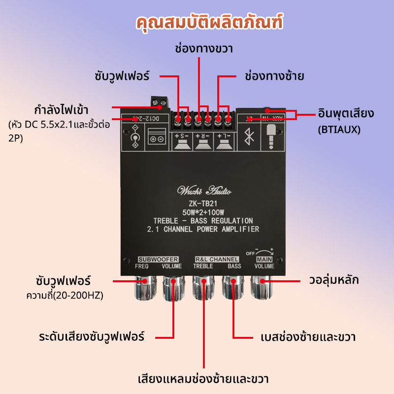แอมป์จิ๋ว ZK TB21 2